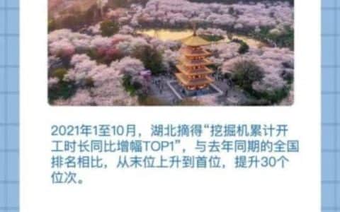 央视财经×三一重工：超燃！10月挖掘机指数公布！