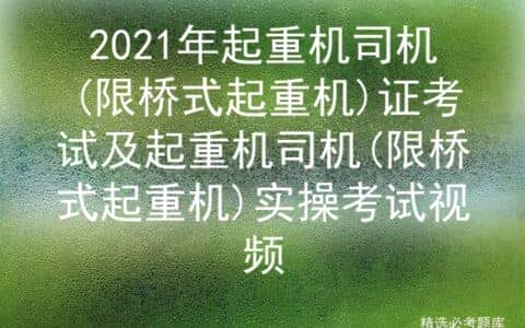 2021年起重机司机(限桥式起重机)证考试及实操考试视频