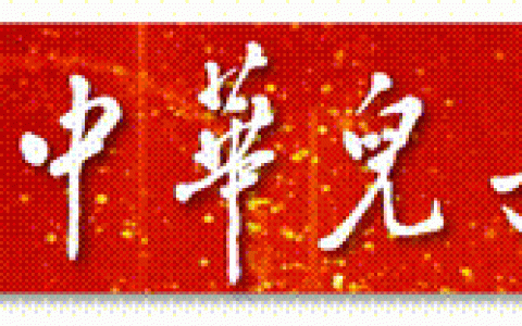 宁波北仑第三集装箱码头有限公司桥吊班大班长竺士杰：我在空中“穿针引线”