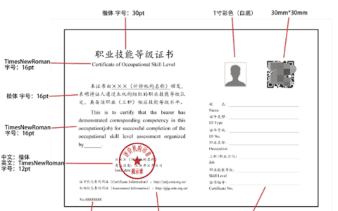 起重装卸机械操作工-职业技能等级证书 官网可查