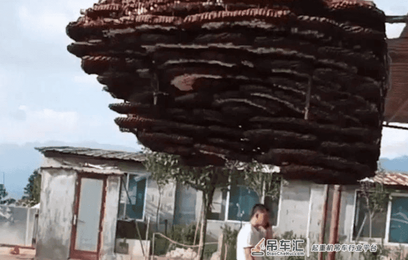 贵州出现巨型马蜂窝，居然靠吊车才能搬动，怎么会长到这么大？