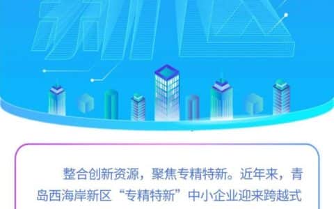 解析“专精特新” | 向海而生，海西重机彰显硬核实力！