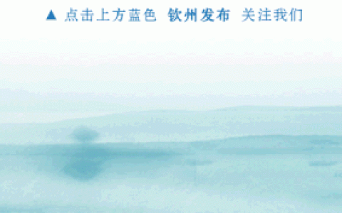 关于钦南区一工地施工吊车倾覆的情况通报