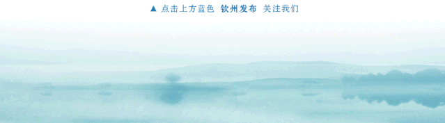 关于钦南区一工地施工吊车倾覆的情况通报