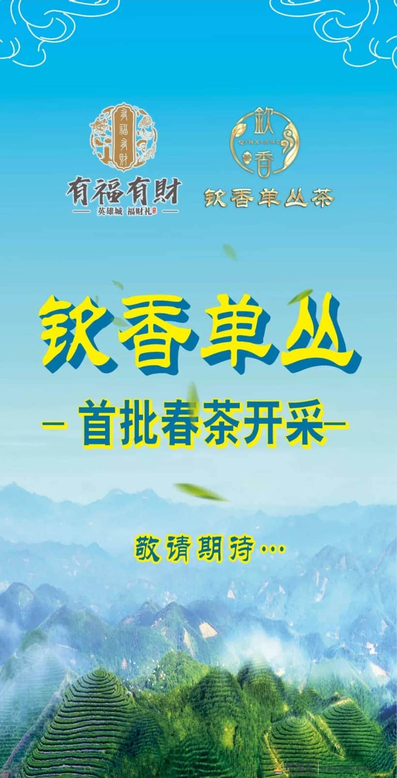 关于钦南区一工地施工吊车倾覆的情况通报
