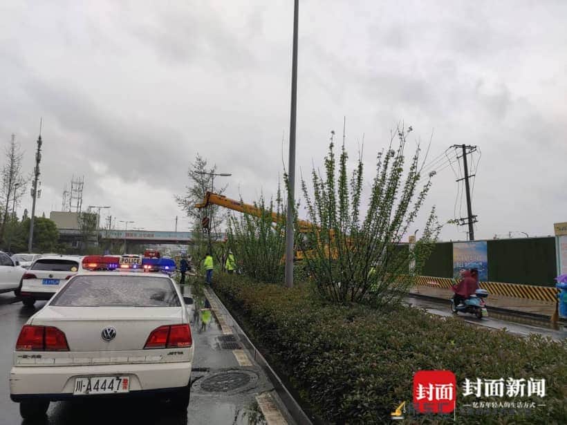 点赞!大树倒下阻塞交通 路过吊车师傅协助民警及时消除隐患