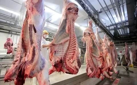 电子吊秤——肉联厂中的称重吊装神器