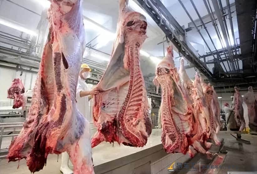 电子吊秤——肉联厂中的称重吊装神器