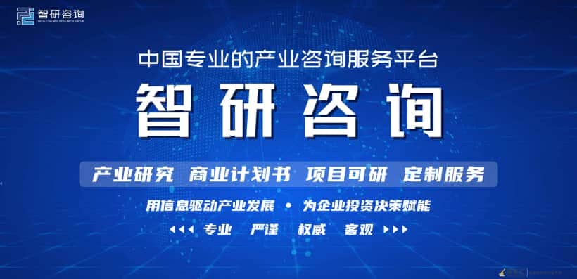2022-2028年中国吊车行业市场运营态势及投资战略规划报告
