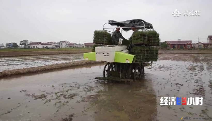央视聚焦水稻种植“新花样”,中联重科水稻有序抛秧机受热捧