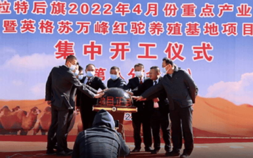 起重资讯——2016—2020年建筑塔式起重机事故统计分析
