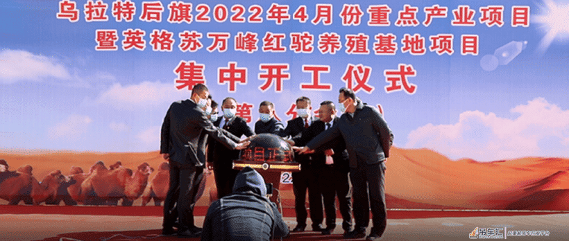 起重资讯——2016—2020年建筑塔式起重机事故统计分析