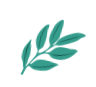 隐患分析—汽车吊系列3(支腿未全部伸出支腿中间下方增垫枕木 )
