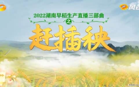 藏粮于技，湖南卫视直播聚焦中联重科智能农机助力农户赶插秧