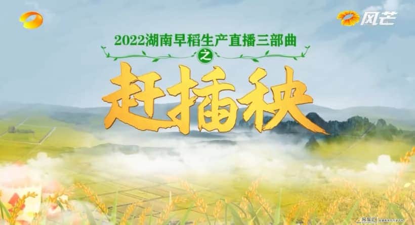藏粮于技，湖南卫视直播聚焦中联重科智能农机助力农户赶插秧