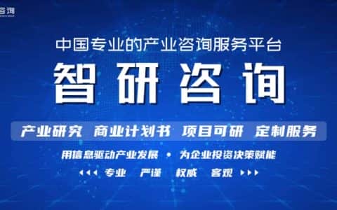 2022-2028年中国工程机械租赁行业投资策略探讨及市场规模预测报告