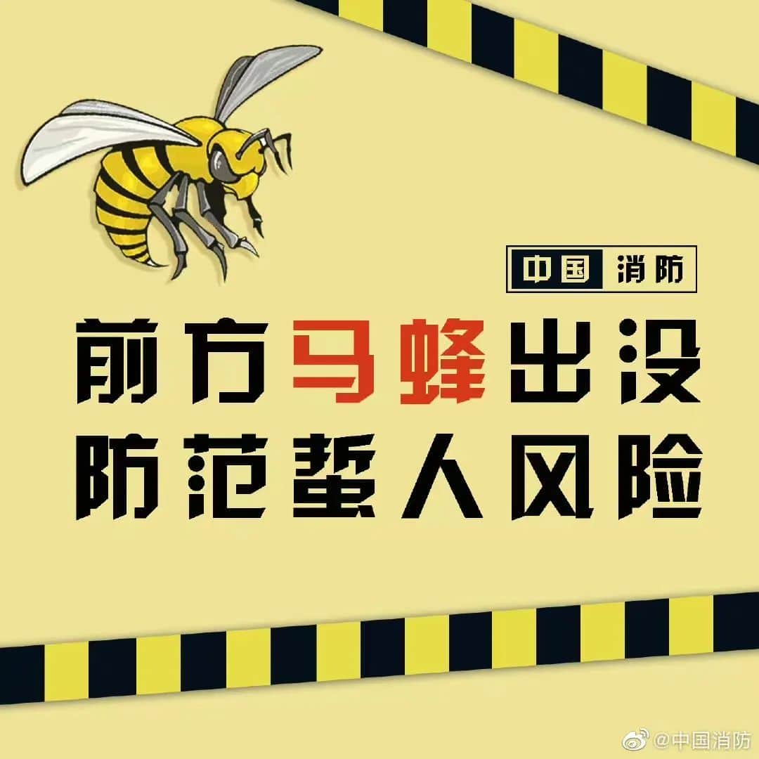 塔吊工被马蜂蜇伤失去意识,被困66米平台