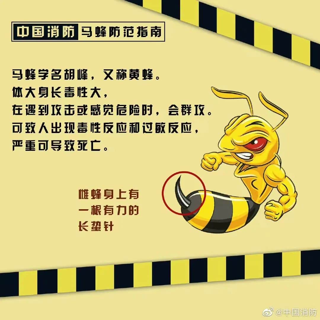 塔吊工被马蜂蜇伤失去意识,被困66米平台