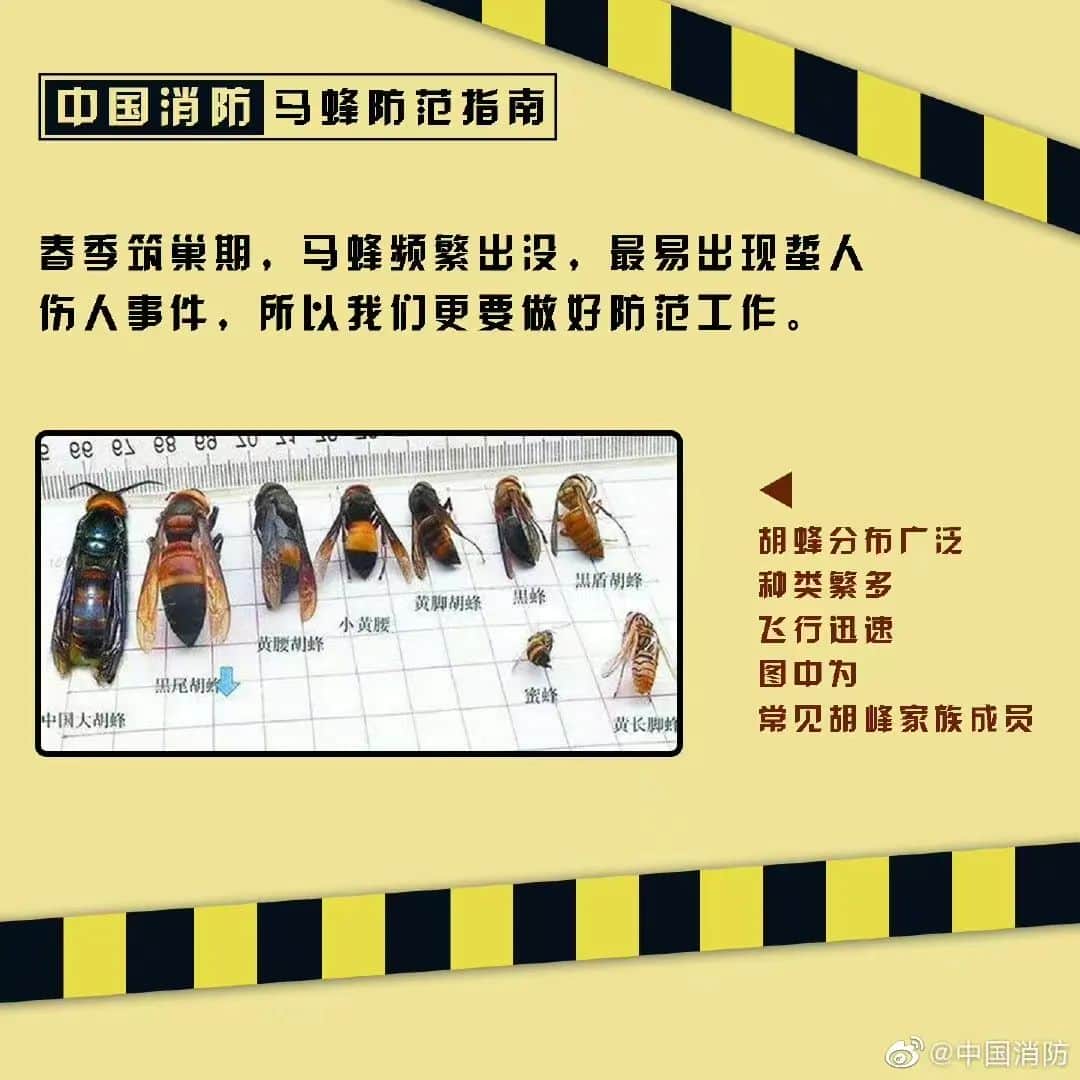 塔吊工被马蜂蜇伤失去意识,被困66米平台