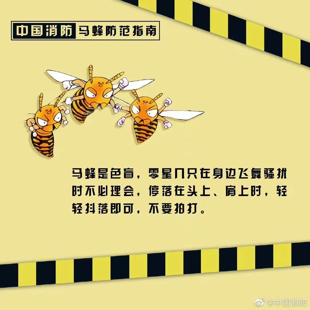 塔吊工被马蜂蜇伤失去意识,被困66米平台