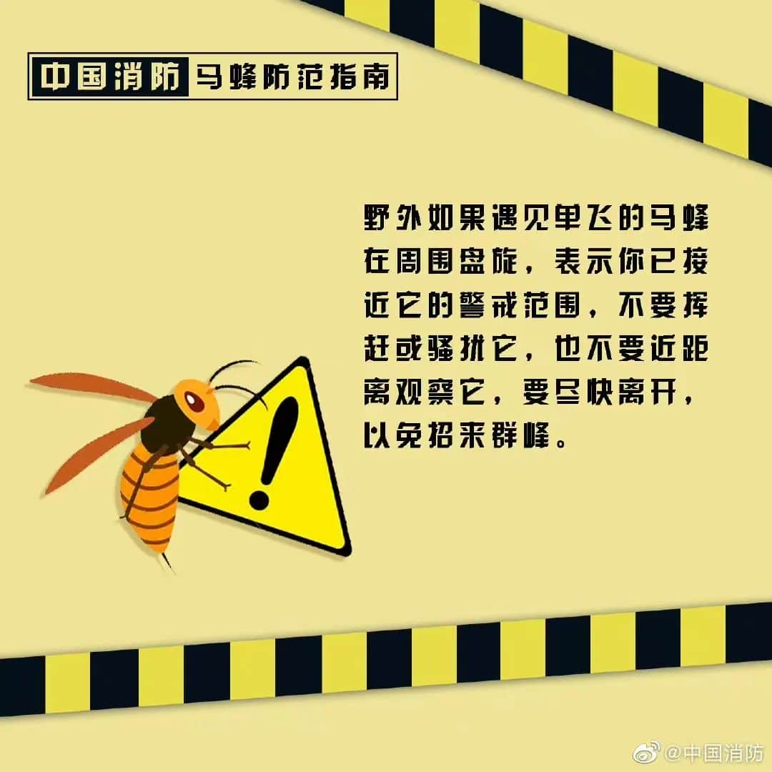 塔吊工被马蜂蜇伤失去意识,被困66米平台