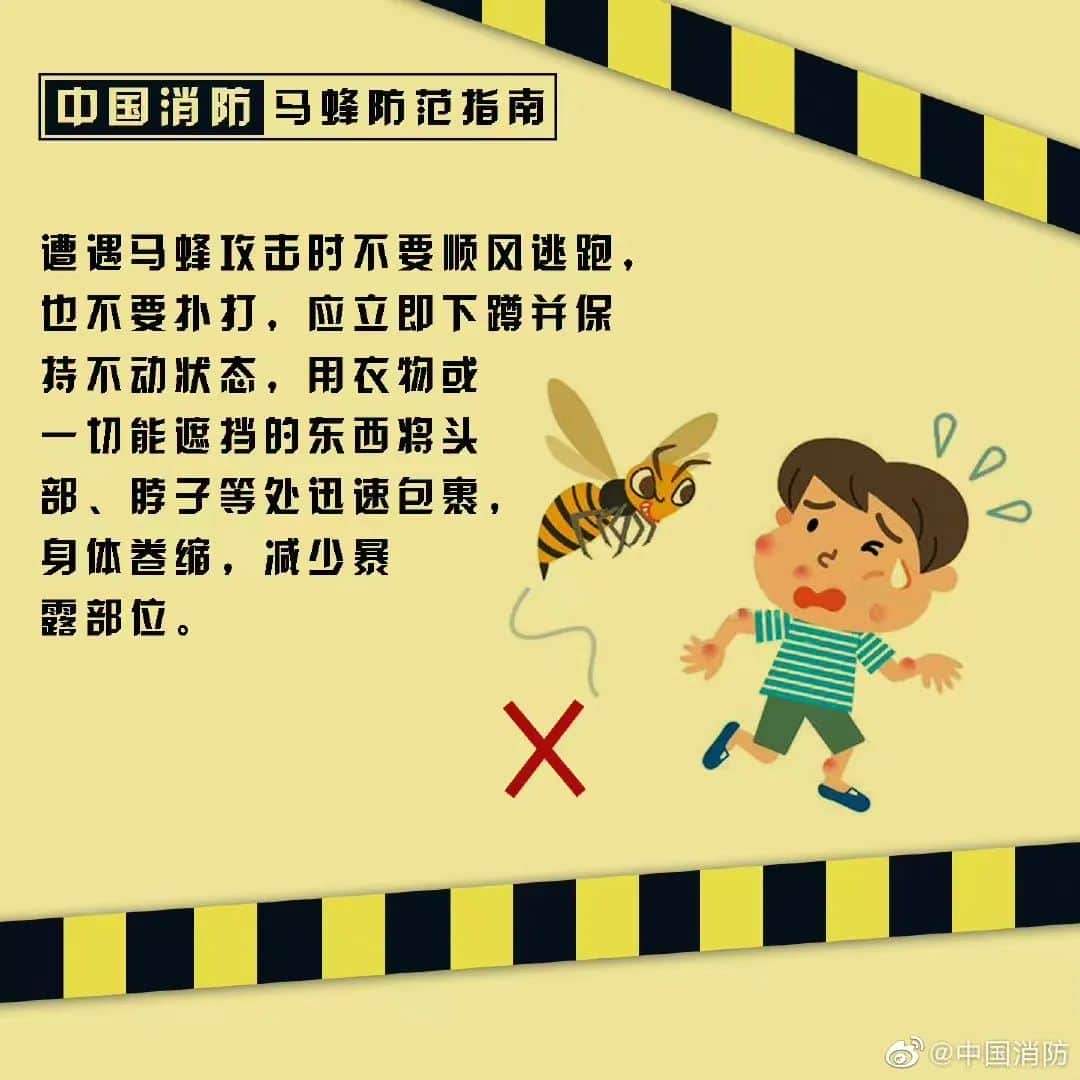 塔吊工被马蜂蜇伤失去意识,被困66米平台