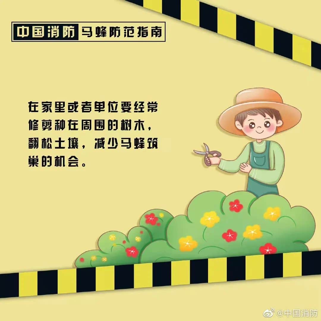 塔吊工被马蜂蜇伤失去意识,被困66米平台