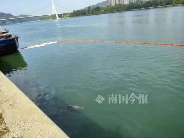 吊车欲吊船,却被拖入江,事发柳州一大桥旁