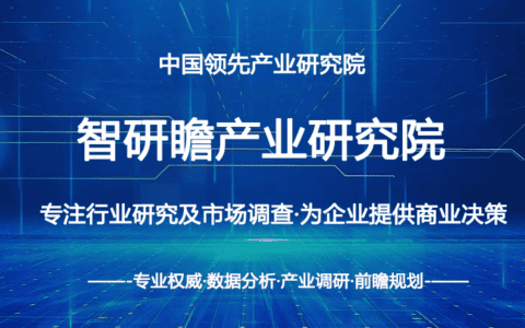 中国装卸机械产业政府战略管理与区域发展战略研究咨询报告