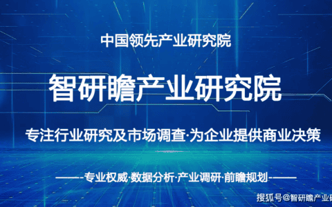 2022-2028年中国塔吊行业产销需求预测与转型升级分析报告