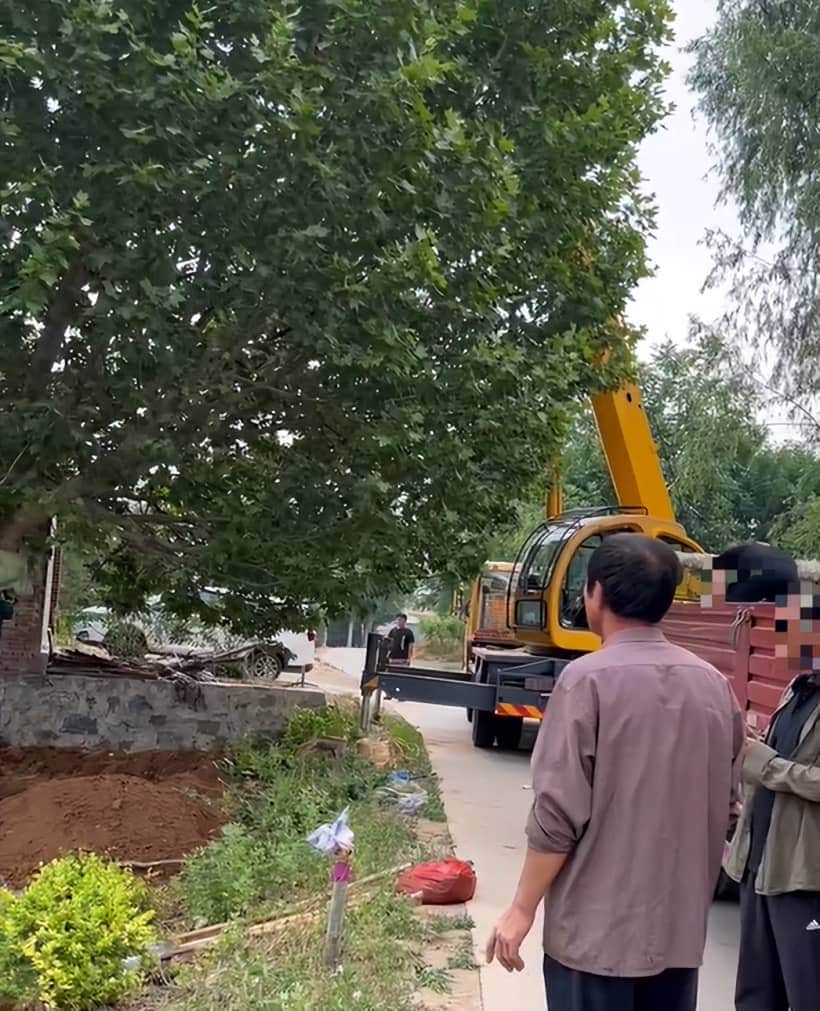 记录12吨吊车作死的一天:8米吊11吨大树!腿软