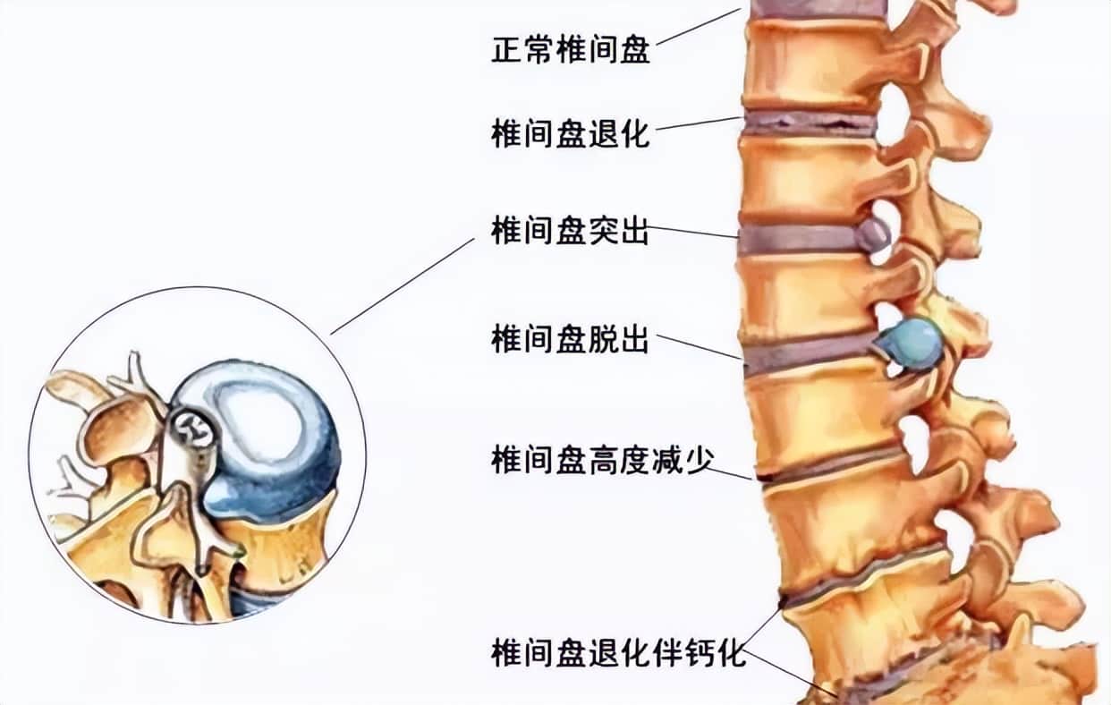 问世间吊车为何物?看吊装人的心酸累苦…