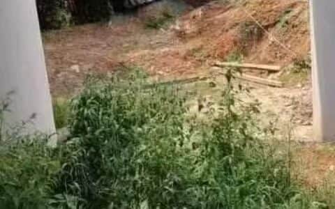 跳车失败：吊车司机意外被埋吊车下，生死未卜