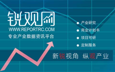 2023-2028年中国工程起重机产业发展预测及投资策略分析报告