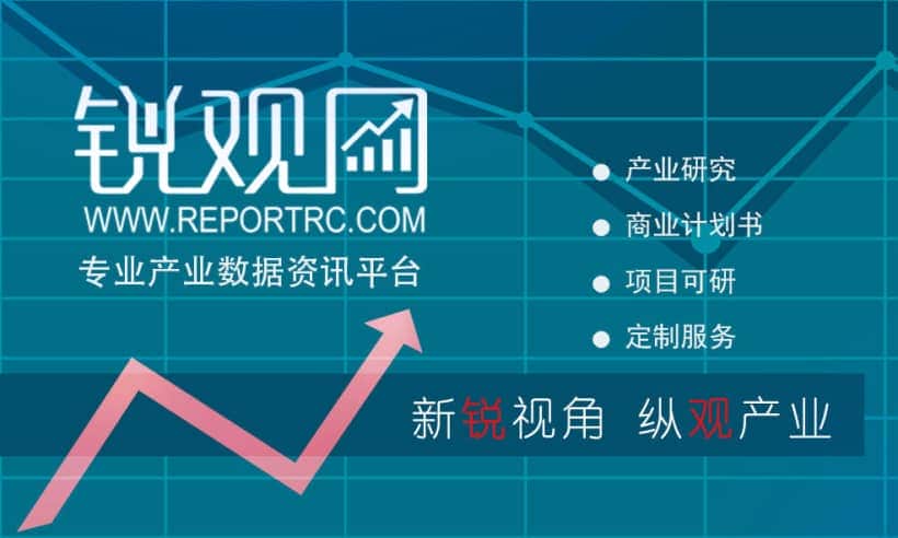 2023-2028年中国工程起重机产业发展预测及投资策略分析报告