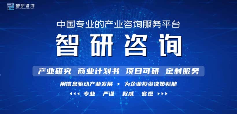 2022-2028年中国起重机专用变频器行业发展策略分析及投资前景研究报告